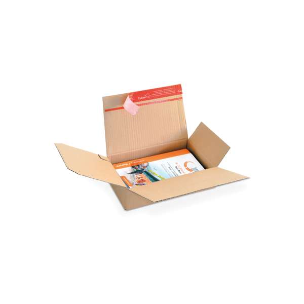 Kleiner Versandkarton mit Automatikboden und Klebeverschluss.