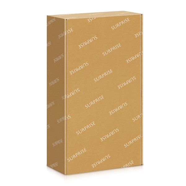 Neutrale Geschenkbox mit Aufschrift Surprise.