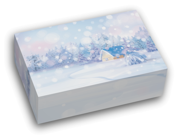 Geschenkkarton "Winterzauber"