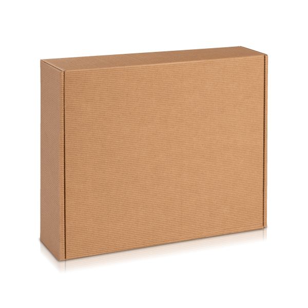 Neutral gehaltene Kartonbox mit offener Welle.