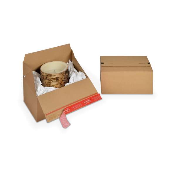 Paletten-Versandkarton 294 x 194 x 137 mm.